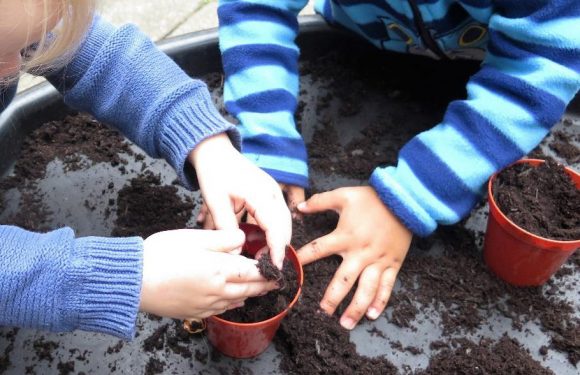 Planting